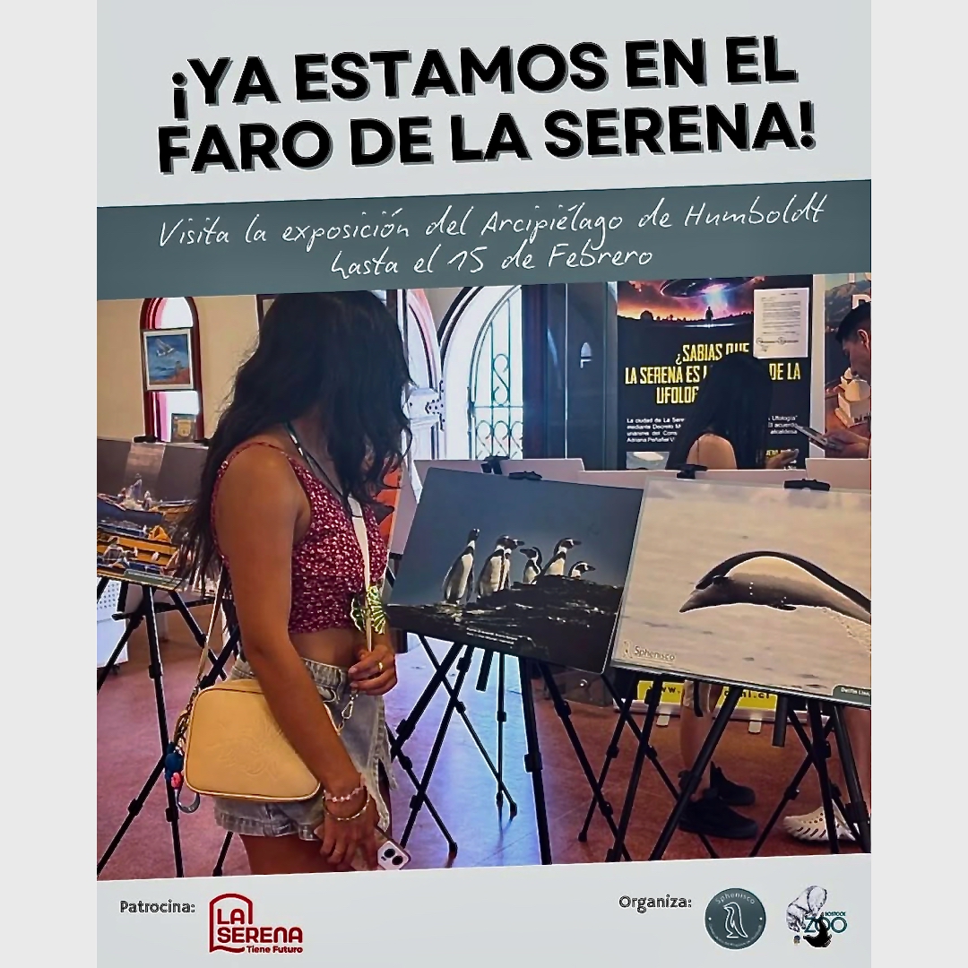 3a_Fotoausstellung Faro_quad